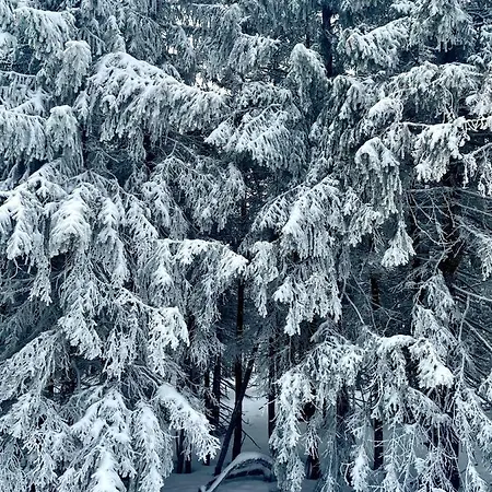 Malinowy Zakatek Triventi Mountain Διαμέρισμα Karpacz