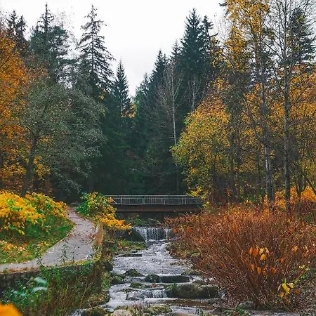 Malinowy Zakątek Triventi Mountain Apartament Karpacz
