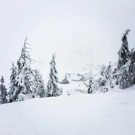 Malinowy Zakatek Triventi Mountain Apartment