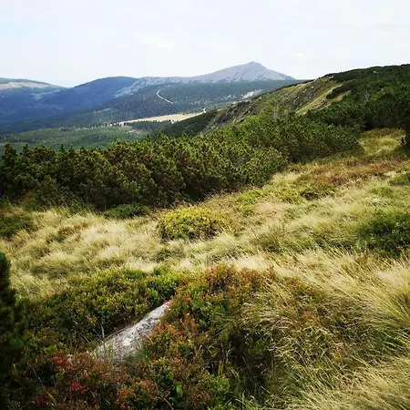 Malinowy Zakatek Triventi Mountain Διαμέρισμα *