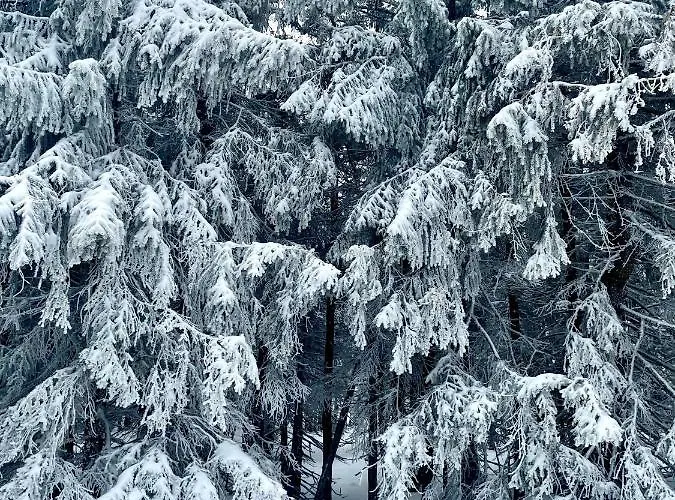 Malinowy Zakatek Triventi Mountain Lägenhet Karpacz