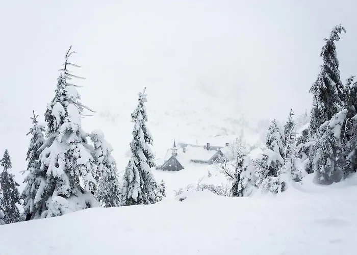 Malinowy Zakatek Triventi Mountain Lägenhet