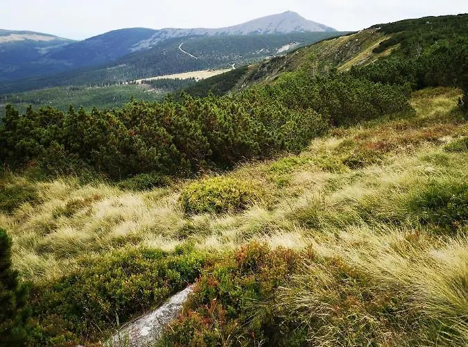 Malinowy Zakatek Triventi Mountain Lägenhet *